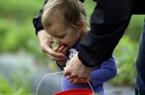 A Surge of Infants in the White House Amid Declining Birthrates